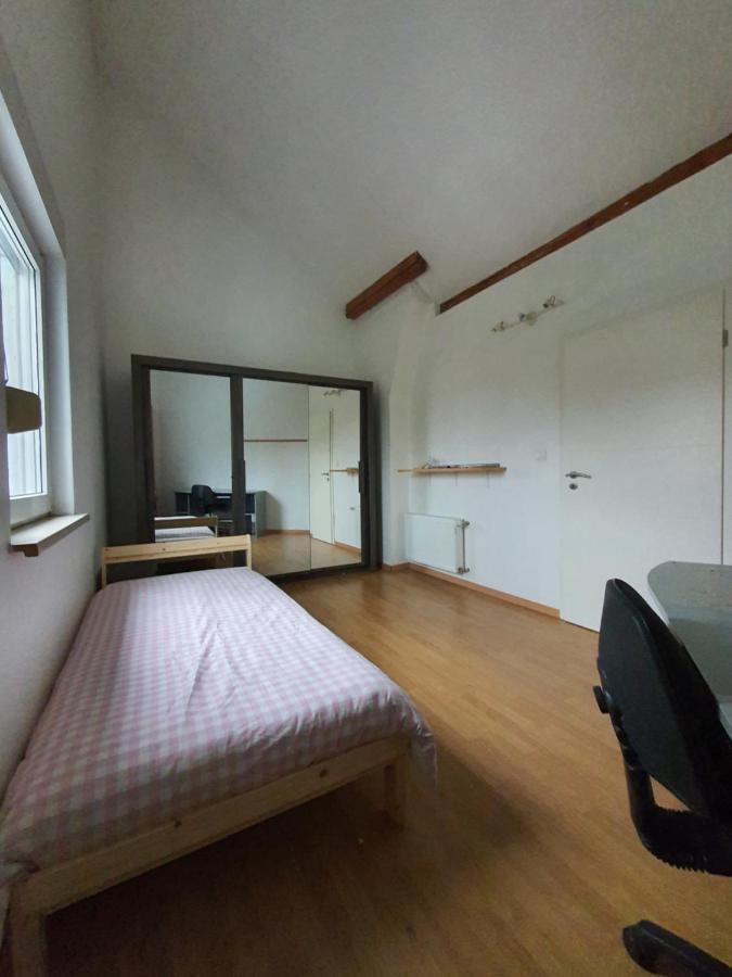 Vivacity Dudelange Bagian luar foto
